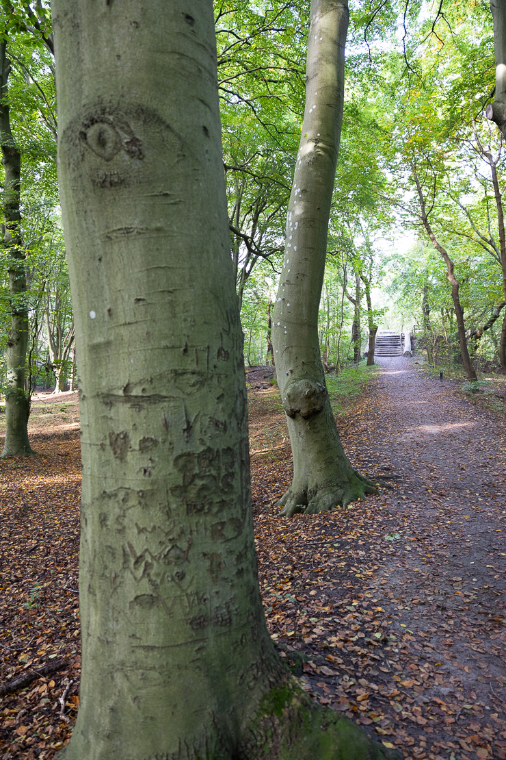 Mildenburg Oostvoorne