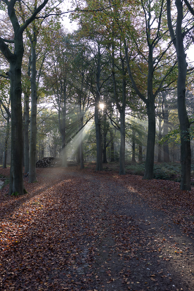 de Horsten Wassenaar